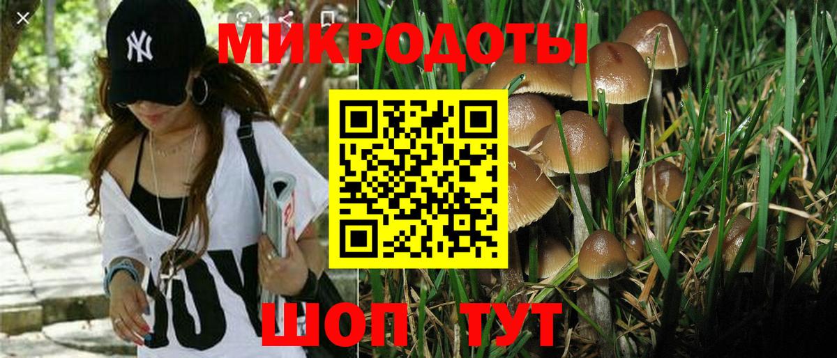 Нефтеюганск  Галлюциногенные грибы Cubensis  даркнет сайт  Галлюциногенные грибы мухоморы  Вход с VPN 